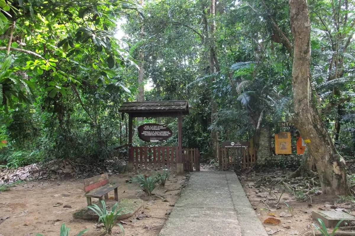 Taman Negara National Park