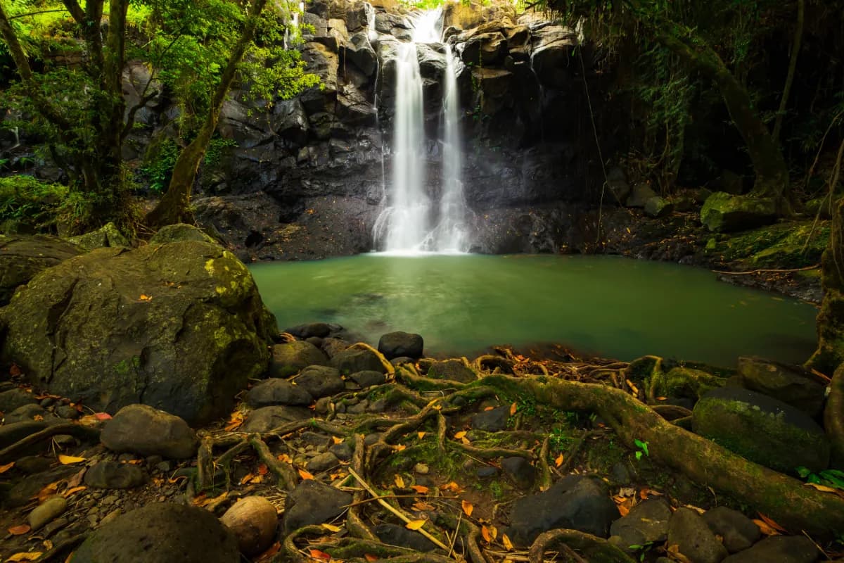 Beautiful hidden waterfall in rainforest in Bali