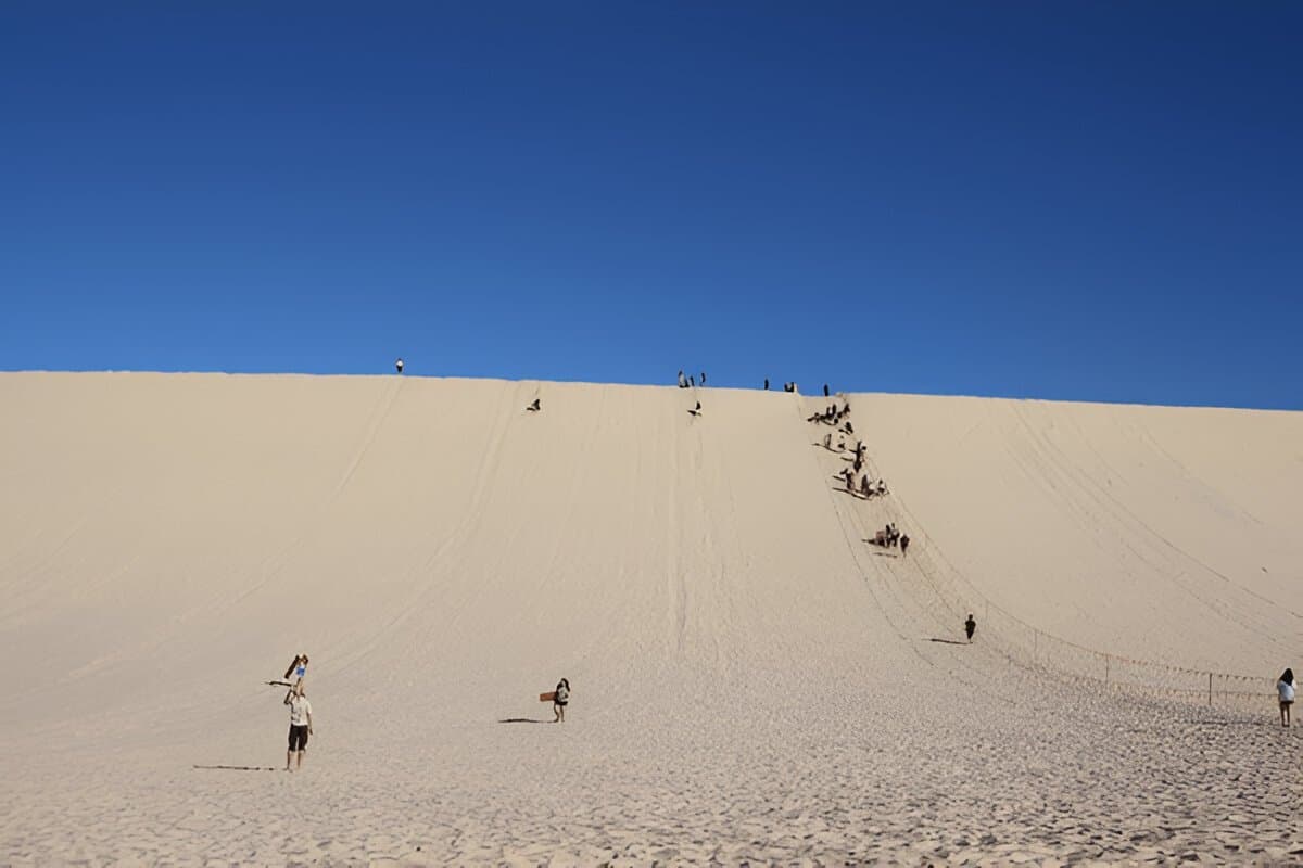 Tangalooma Desert Safari Tour