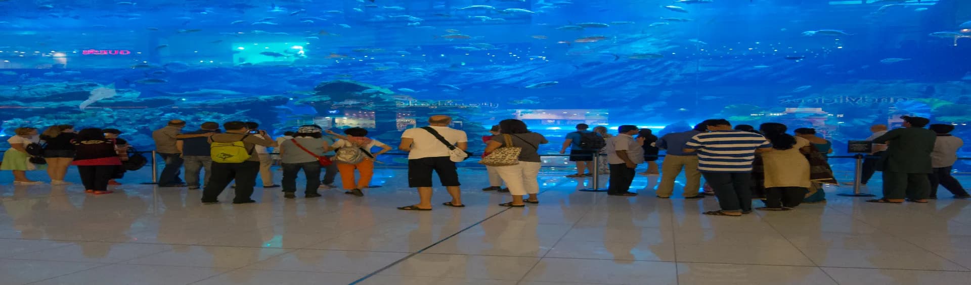 Dubai Unusual Things To Do: A List Of Activities