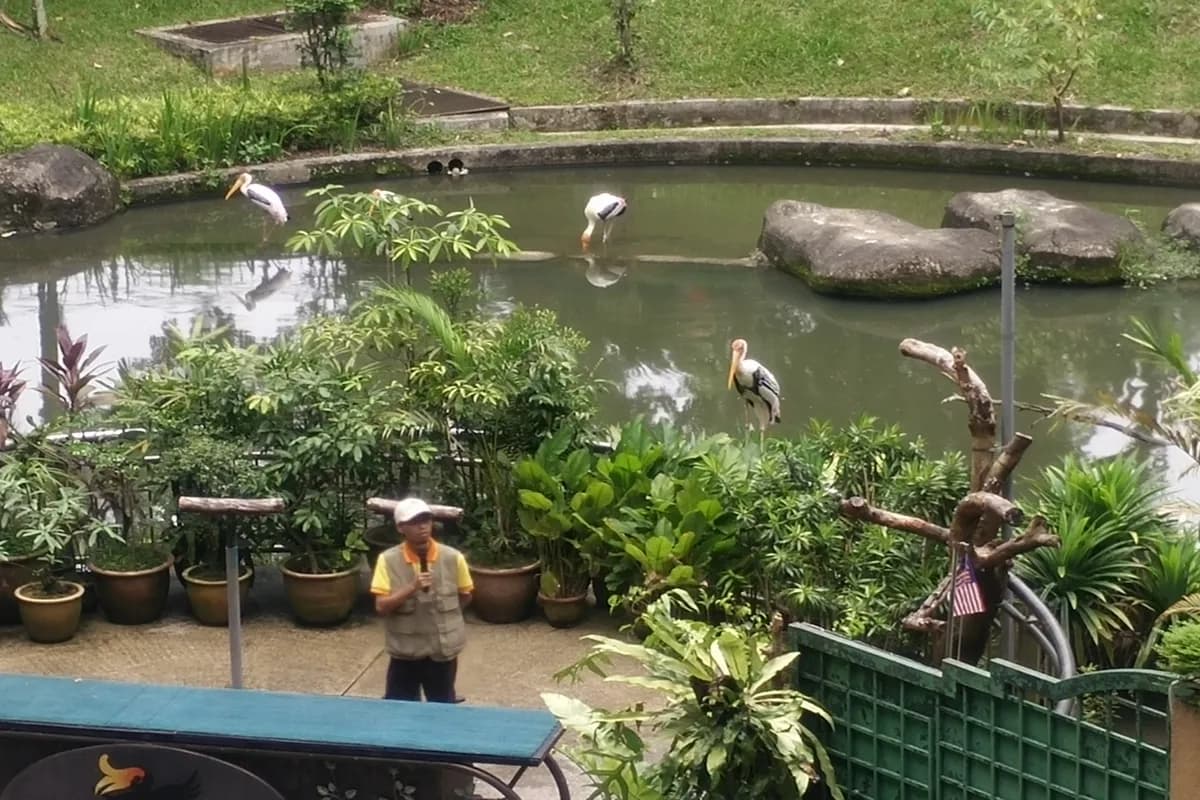 KL Bird Park