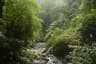 Nature landscape of Nongriat Village in Northeast India