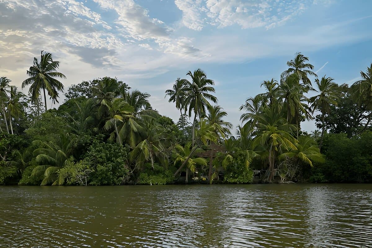 Madu Ganga