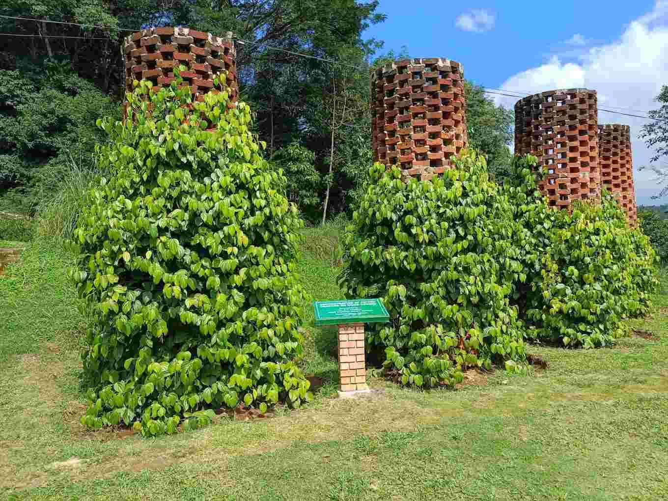 National Spice Garden of Sri Lanka
