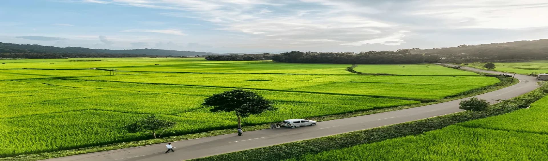 Getting Around Meghalaya: Complete Local Transport Guide — Cabs, Buses & Shared Taxis