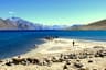 Pangong Tso