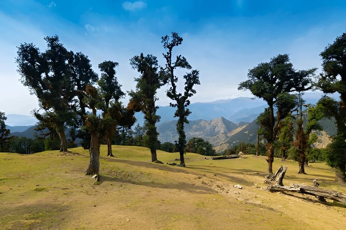 Chopta Bugyal