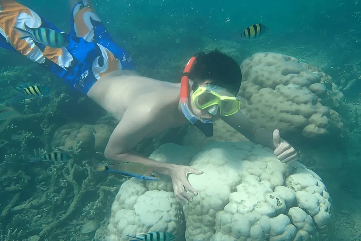 Scuba Diving in Lakshadweep