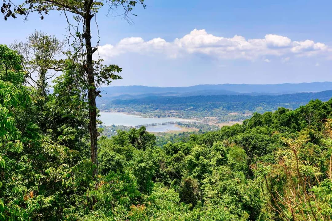 Mount Harriet Peak Viewpoint
