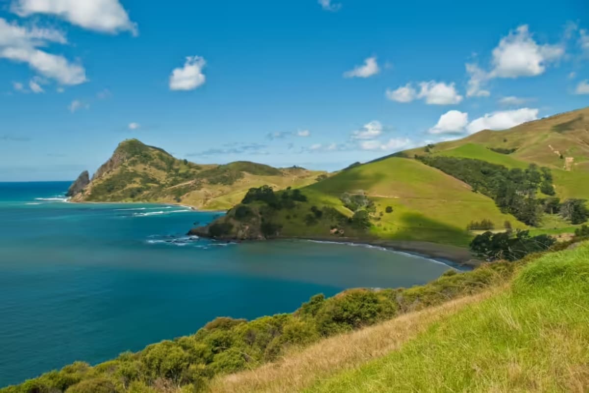 Coromandel Coast