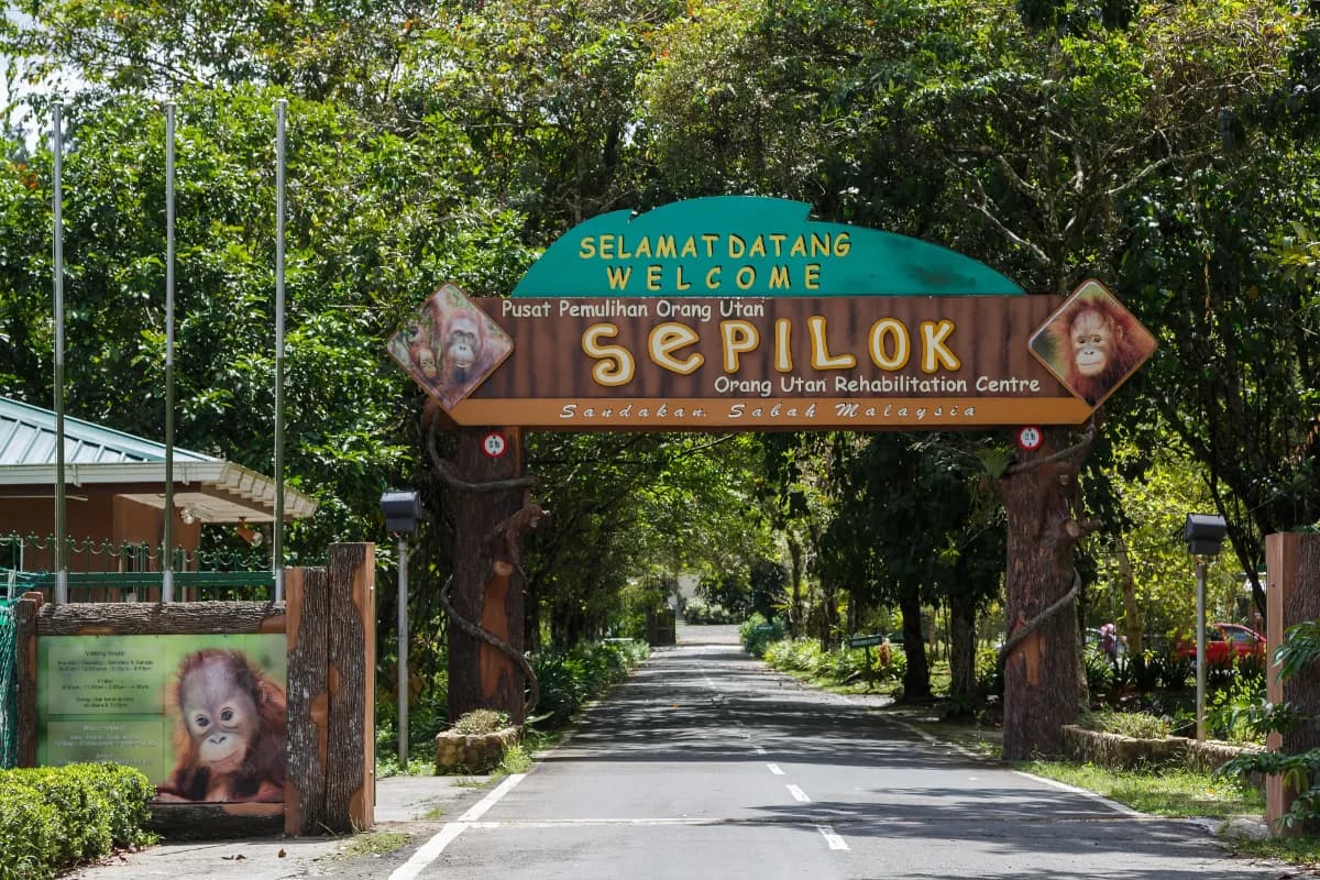 Sepilok Orangutan Rehabilitation Centre