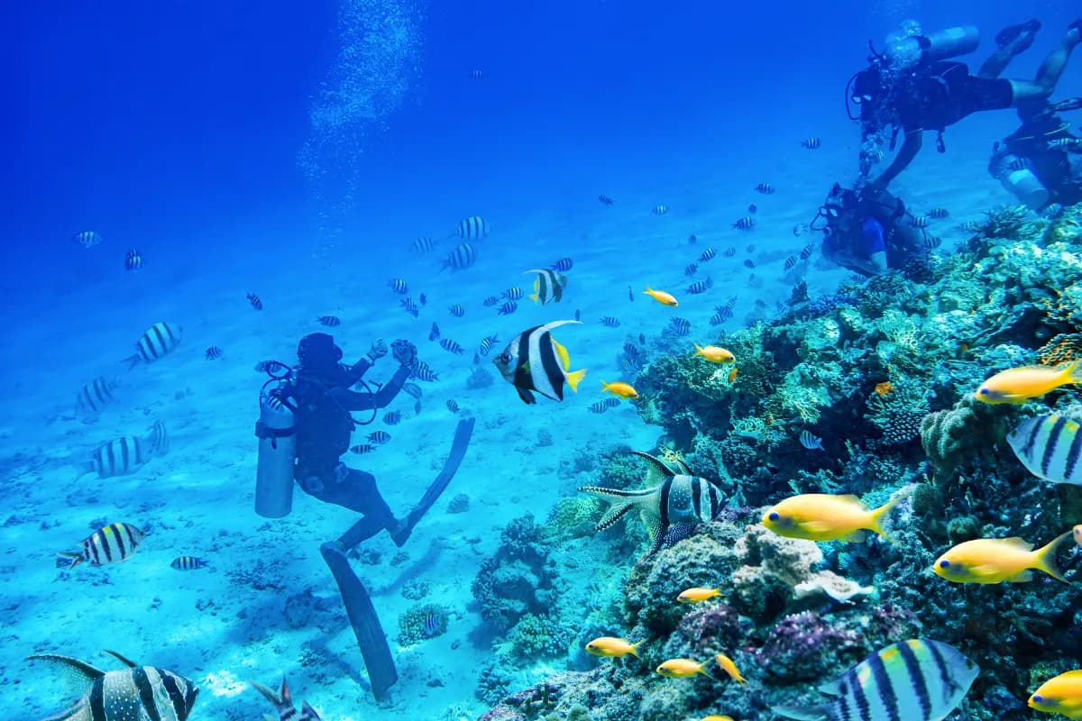 Scuba Diving in Bali