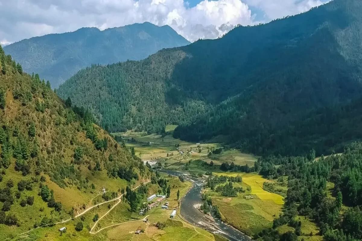 Ziro Valley