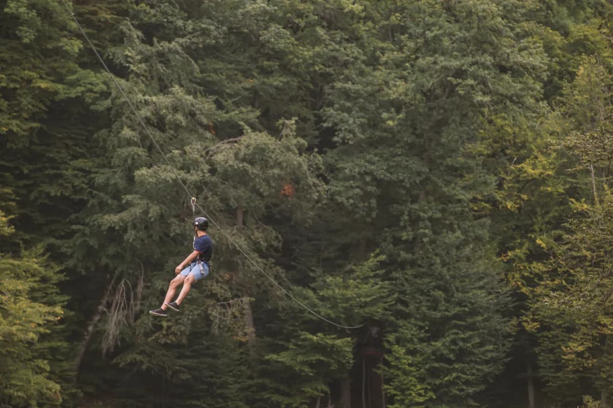 Zip Lining Through the Forests