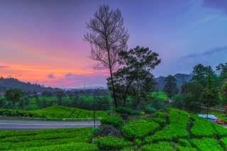 Kerala Tea Hills Voyage