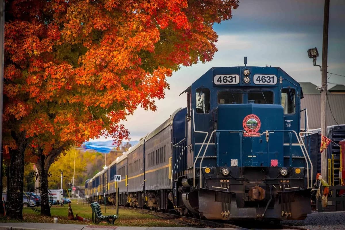 Blue Ridge Scenic Railway
