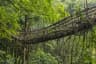 Double Decker Living Root Bridge View