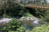 River in Bali With Bridge Above