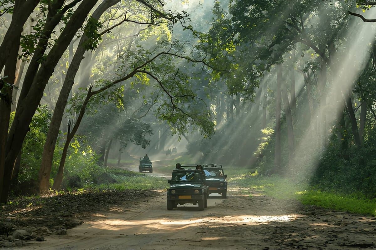 Corbett Escape