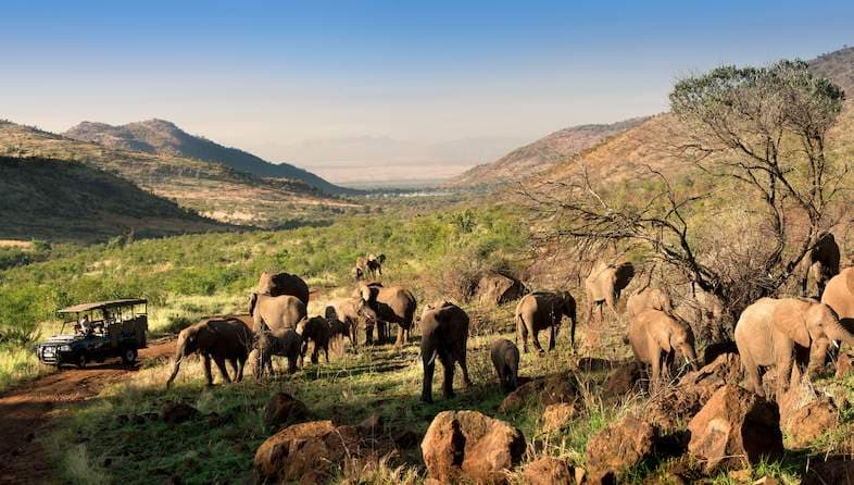 Pilanesberg National Park