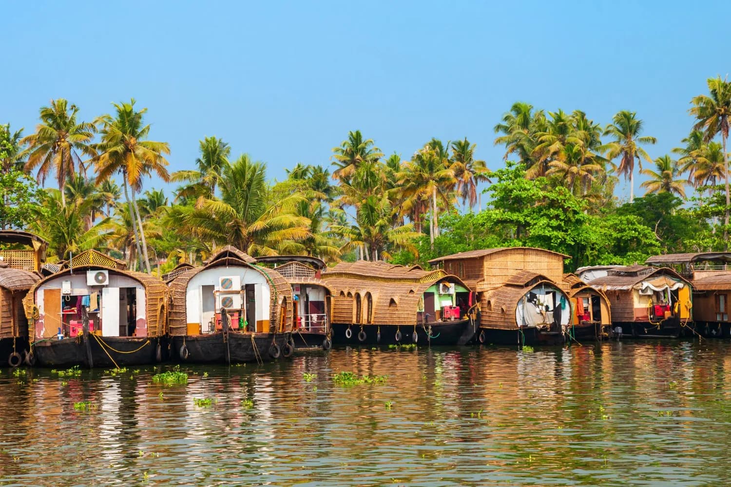 Explore Hills of Kerala Including Munnar & Thekkady