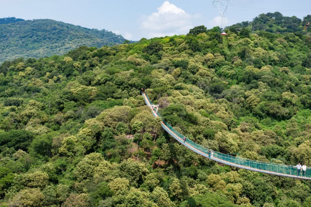 Suspension Bridge Crossing