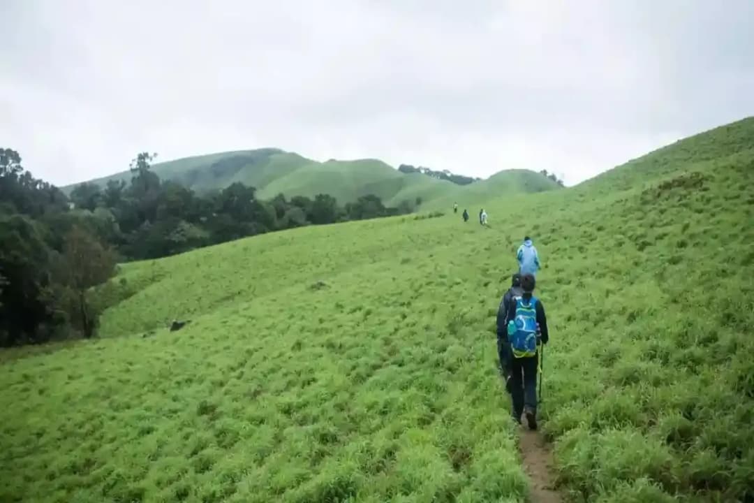 Nokrek Peak Trek
