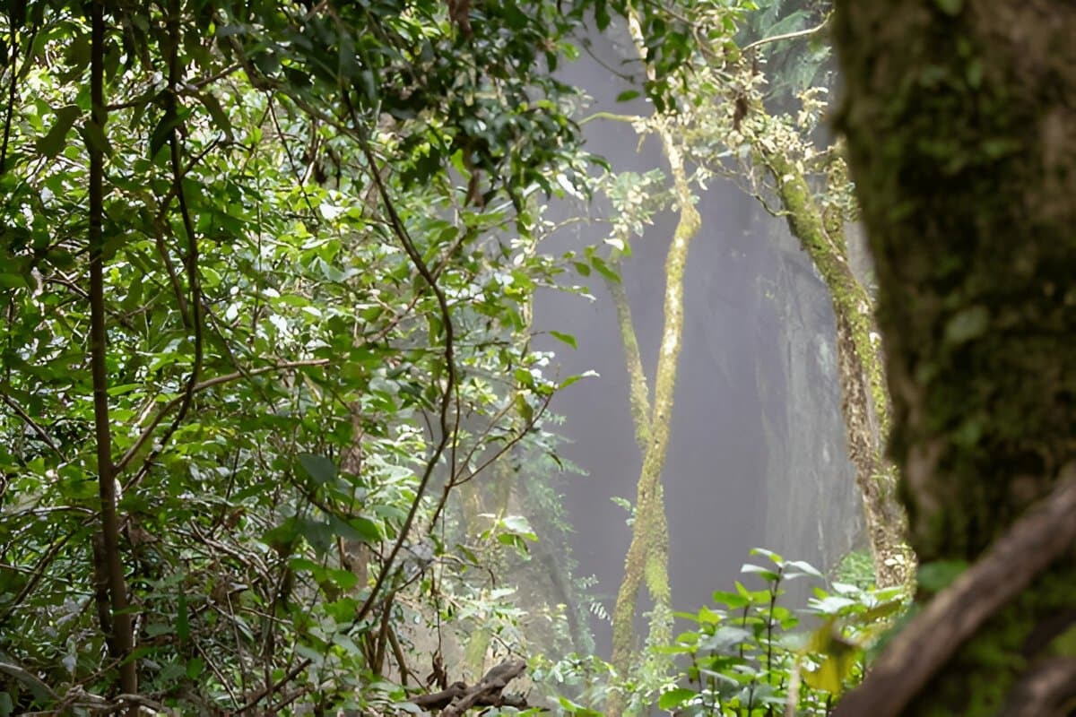 Guna Caves