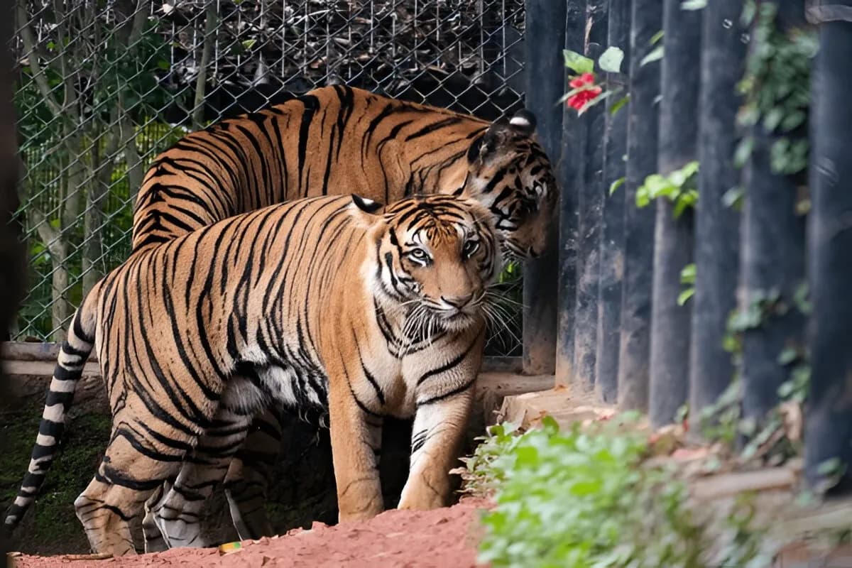 Dehiwala Zoo