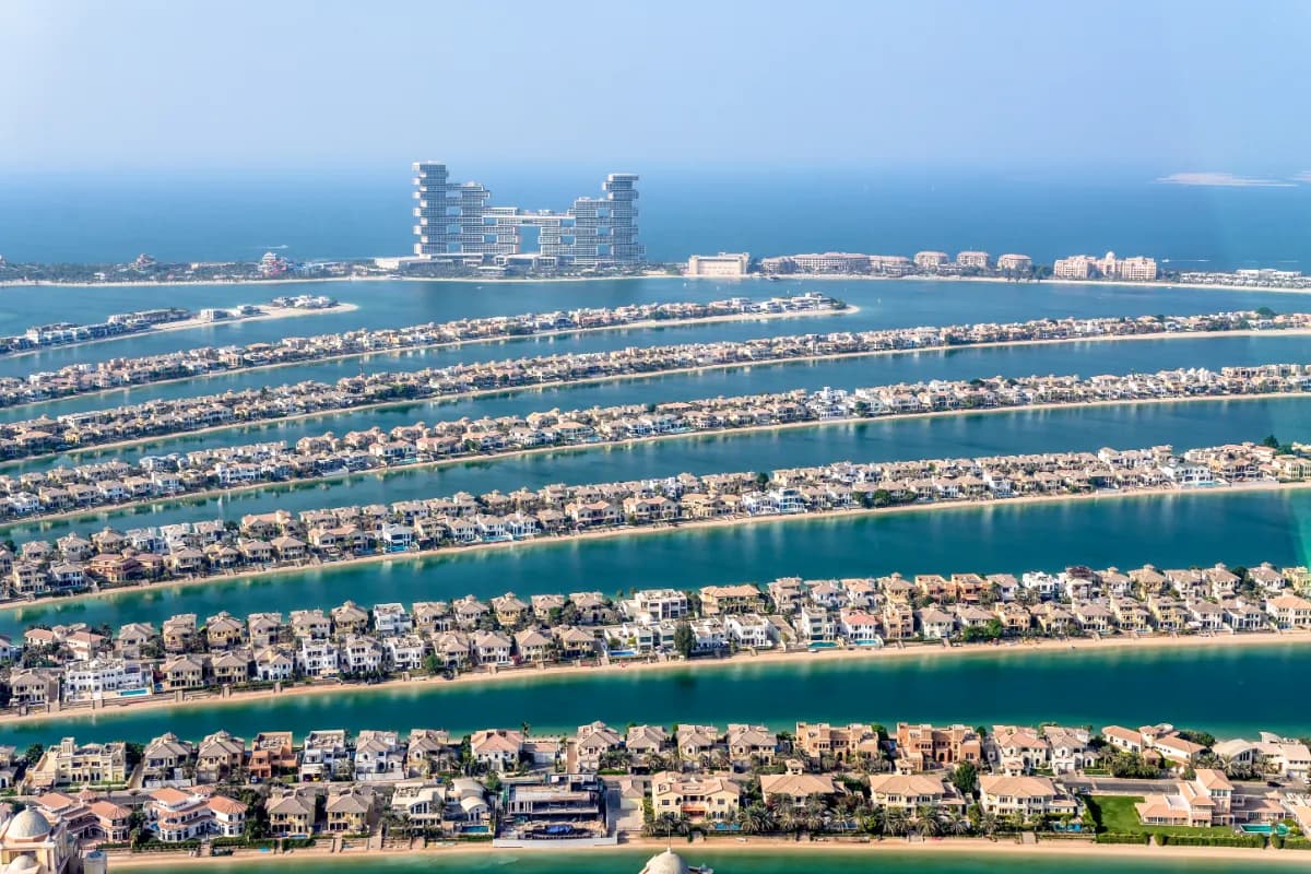 The View at The Palm