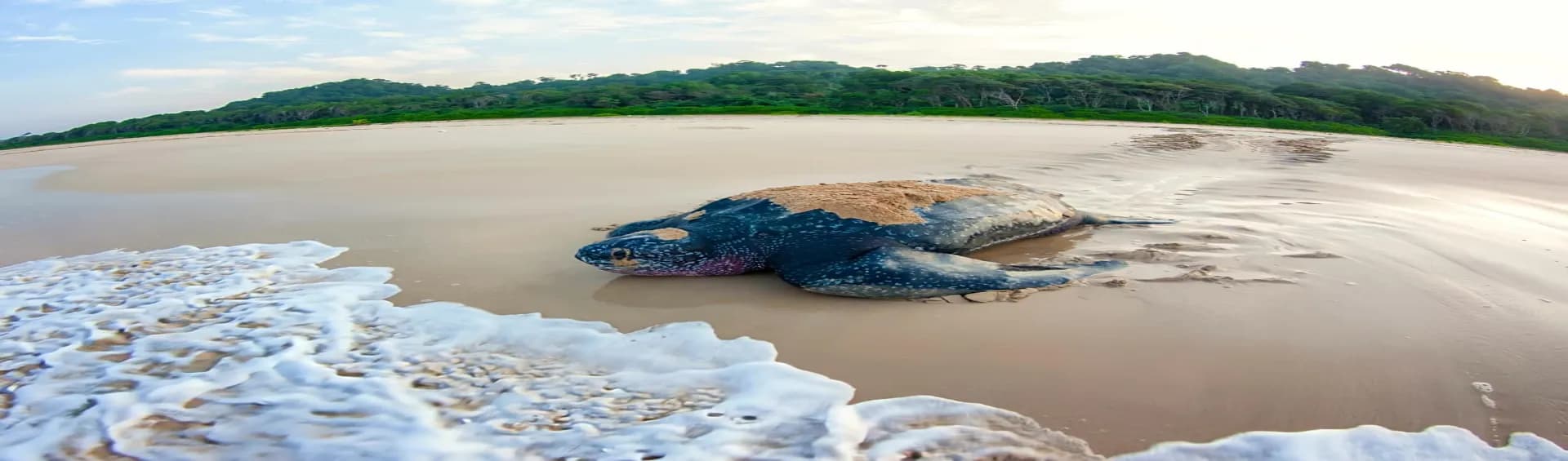 National Parks in Andaman and Nicobar