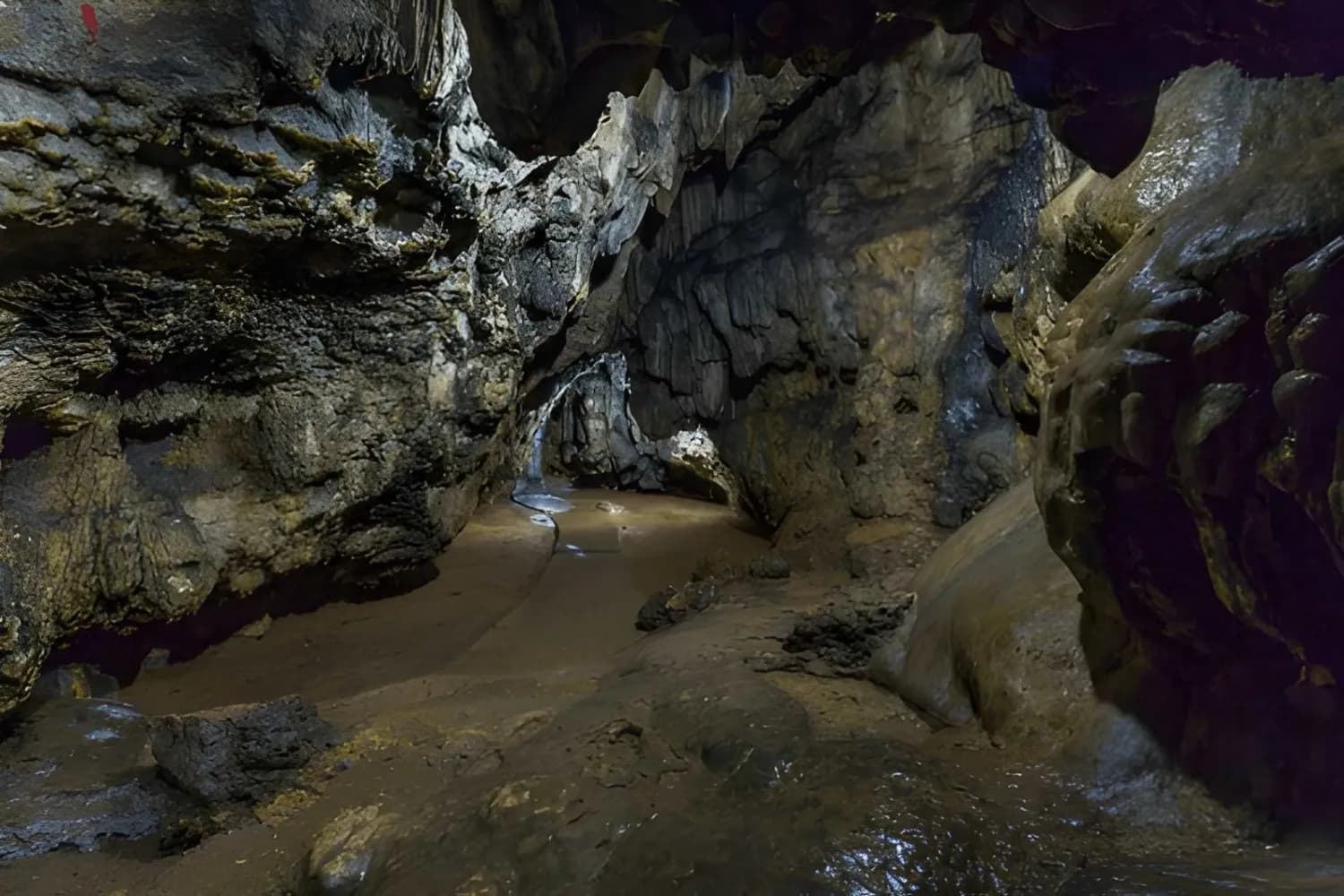 Inside path of Mawsmai Cave