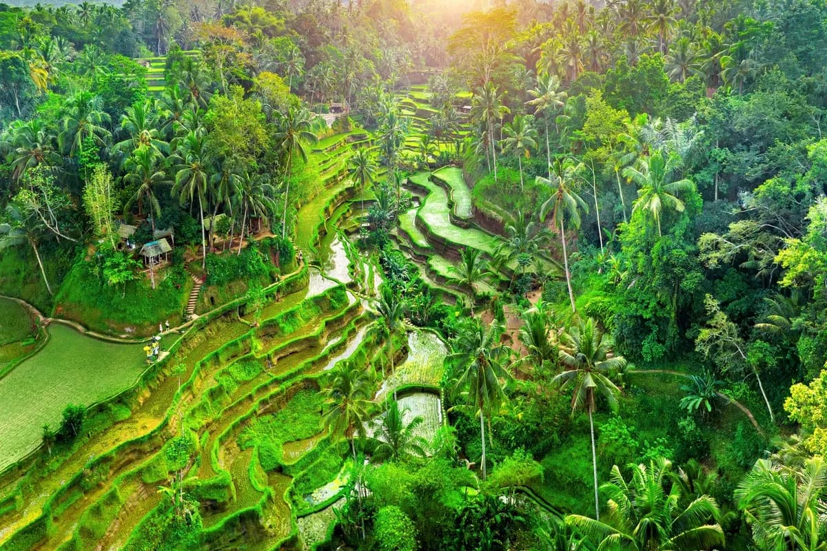 Ubud Green Fields