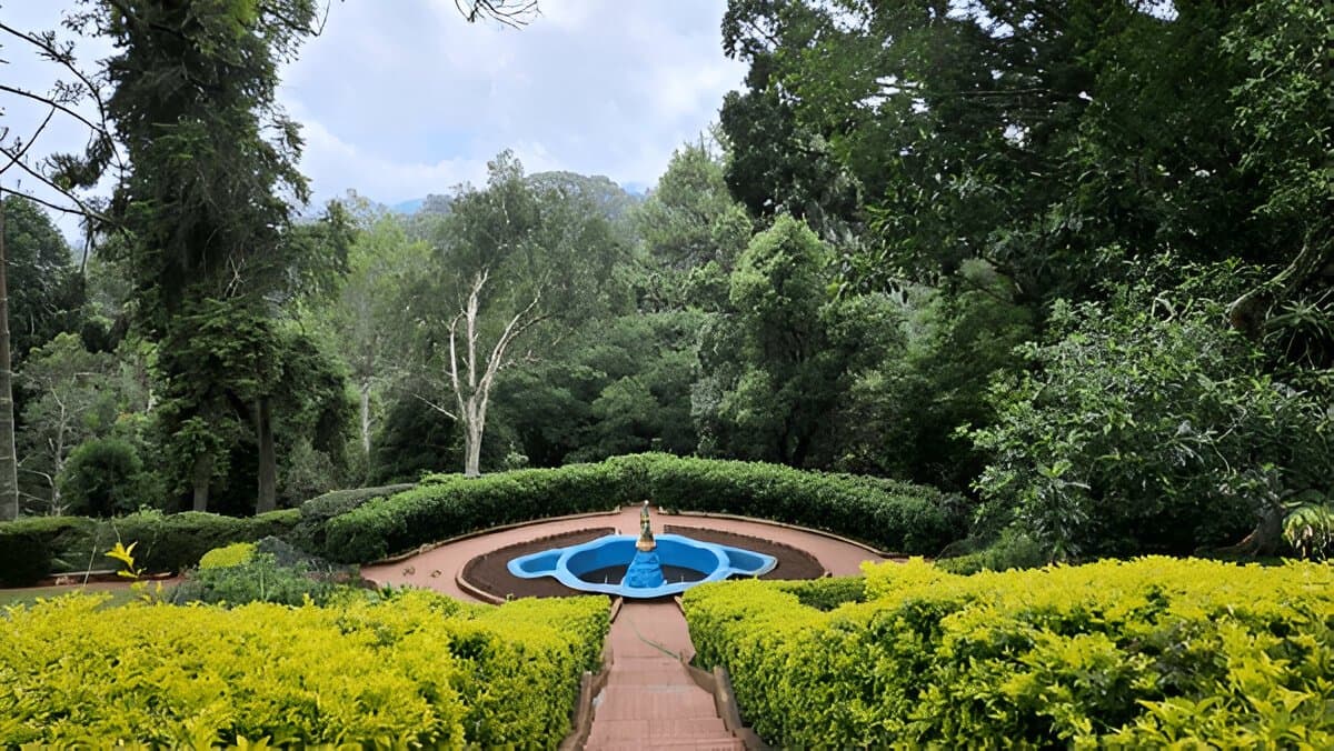Sims Park