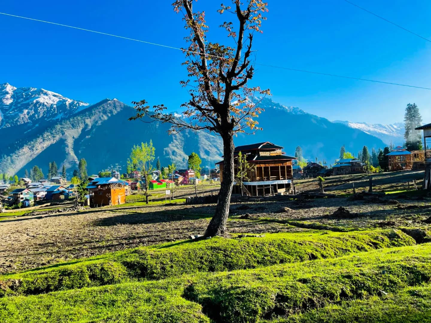 Kashmir