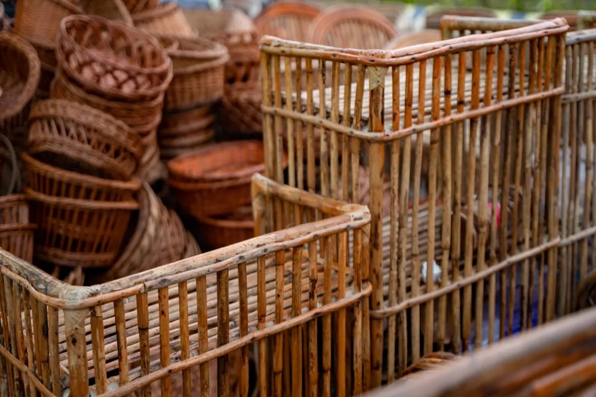 Cane and Bamboo Products
