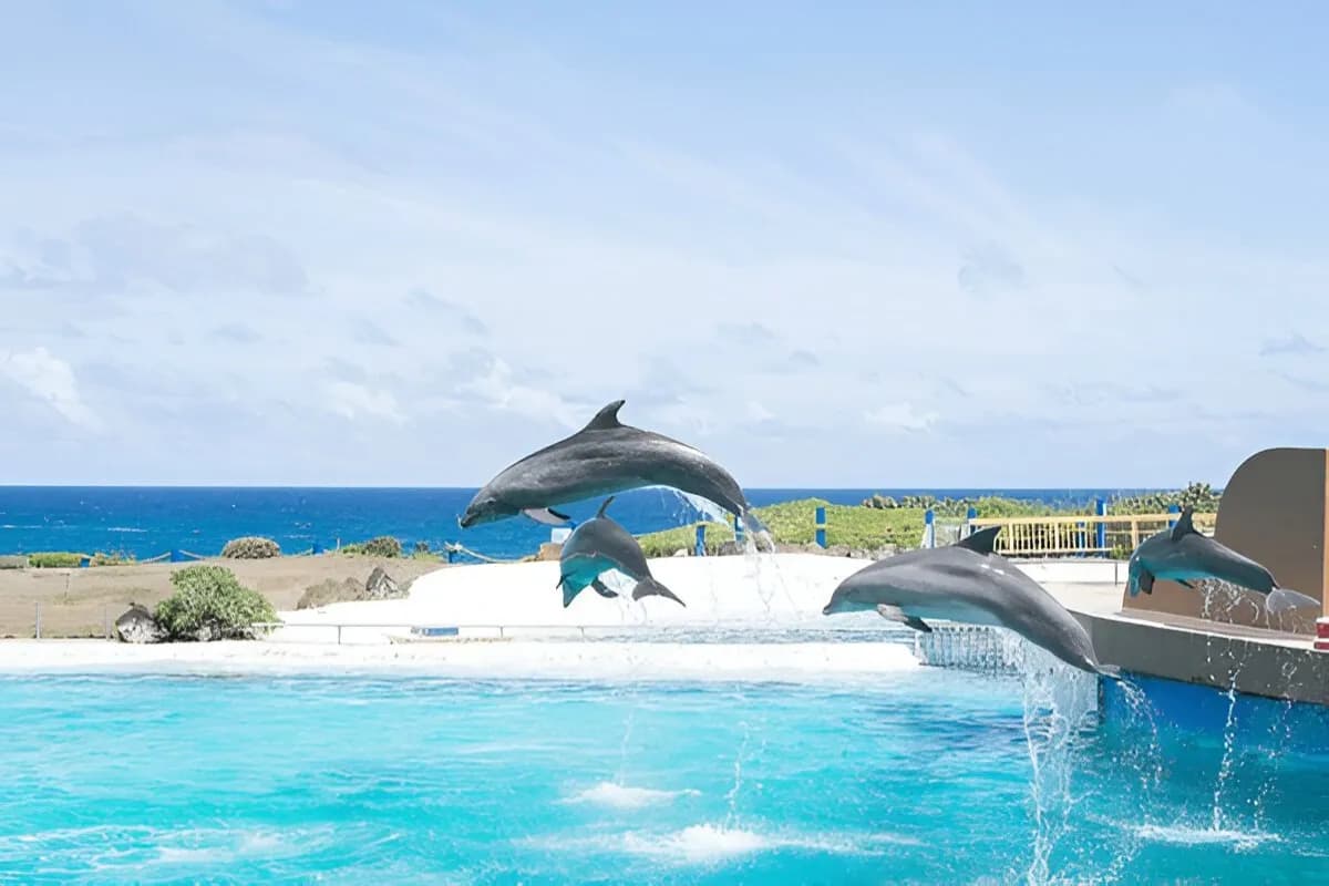 Marine Mammal Habitat