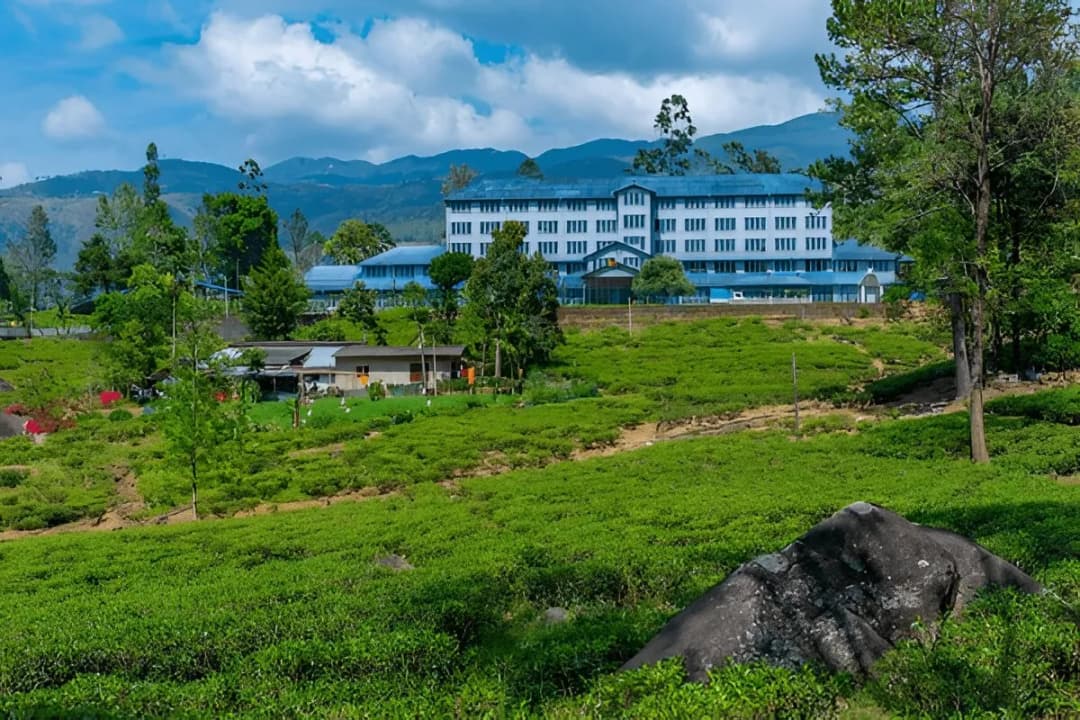 Blue Field Tea Gardens