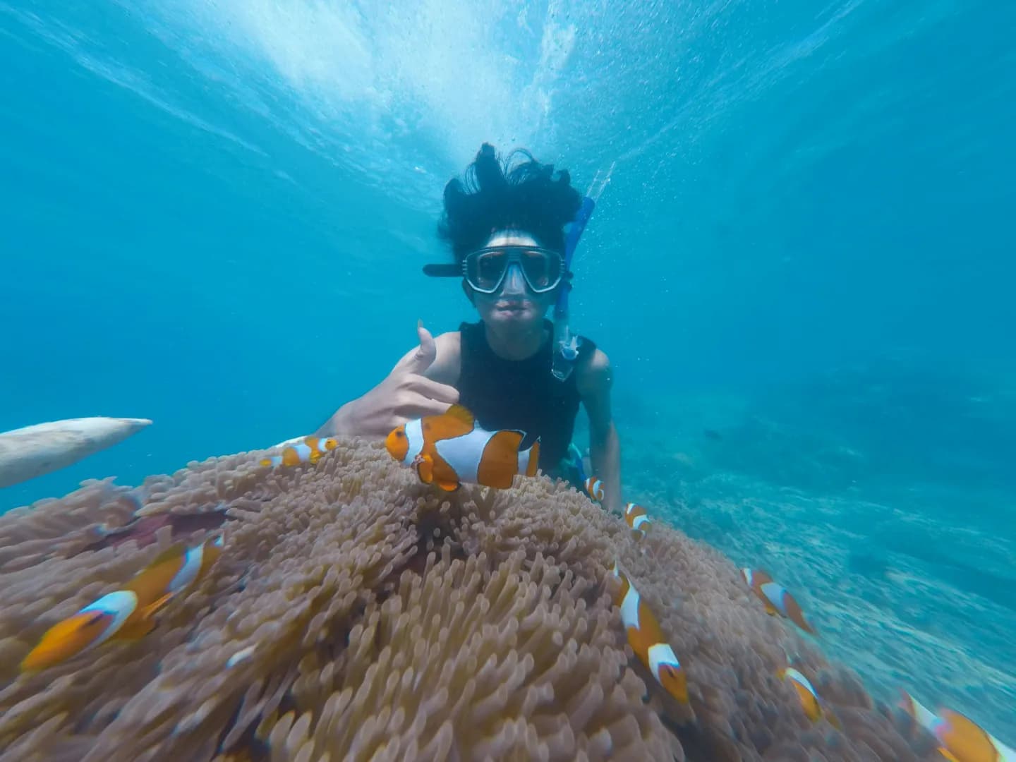 snorkeling at malaysia