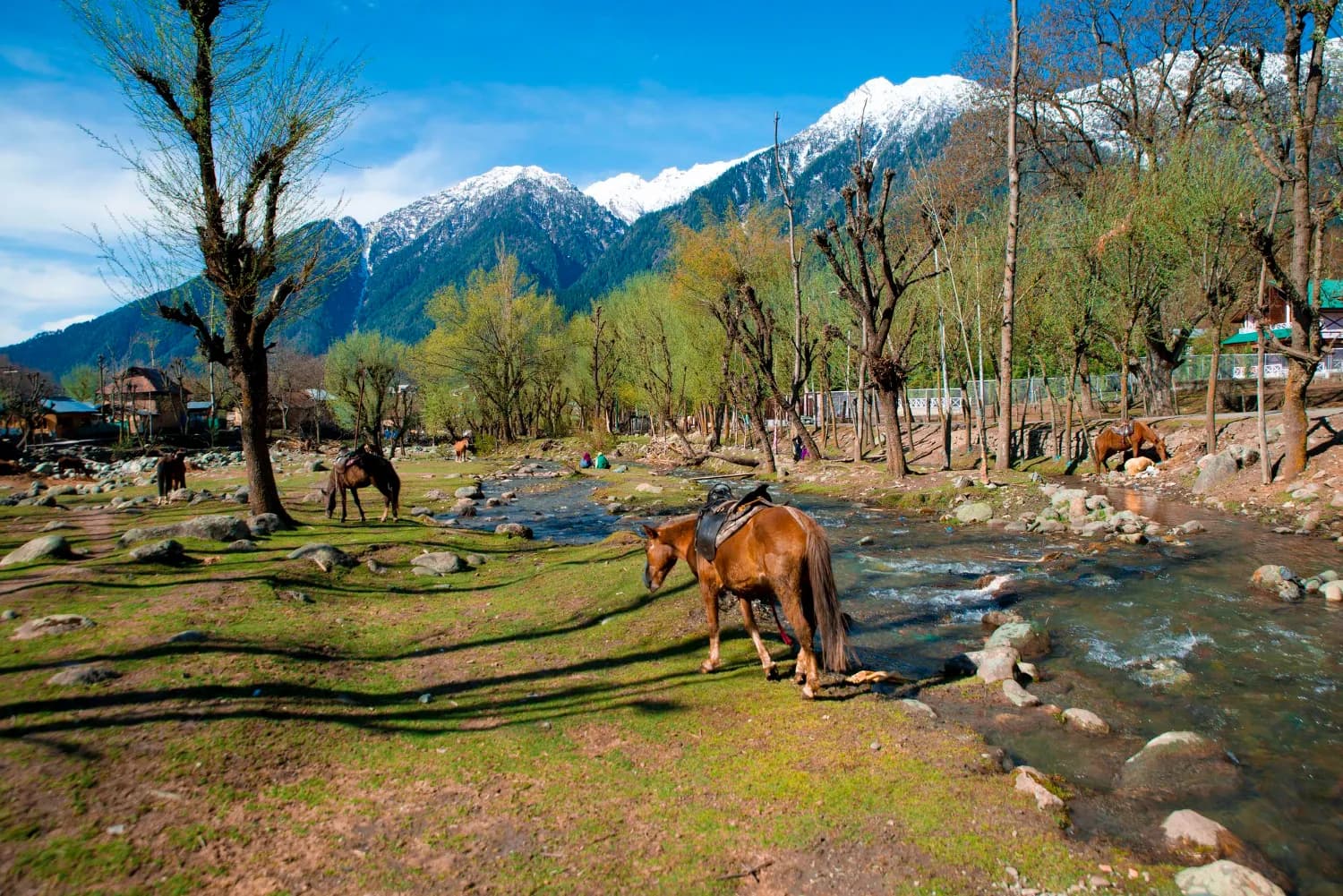 Best of Kashmir