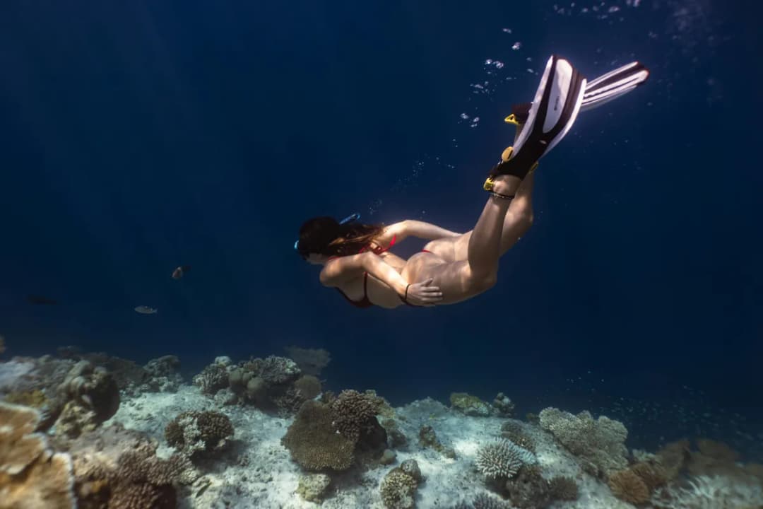 Snorkelling Reef Zones