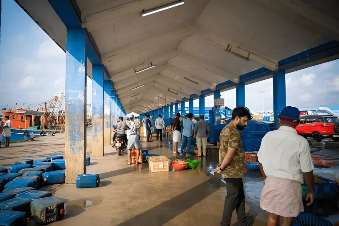 Local Seafood Stalls