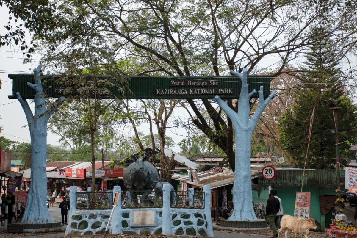 Kaziranga National Park