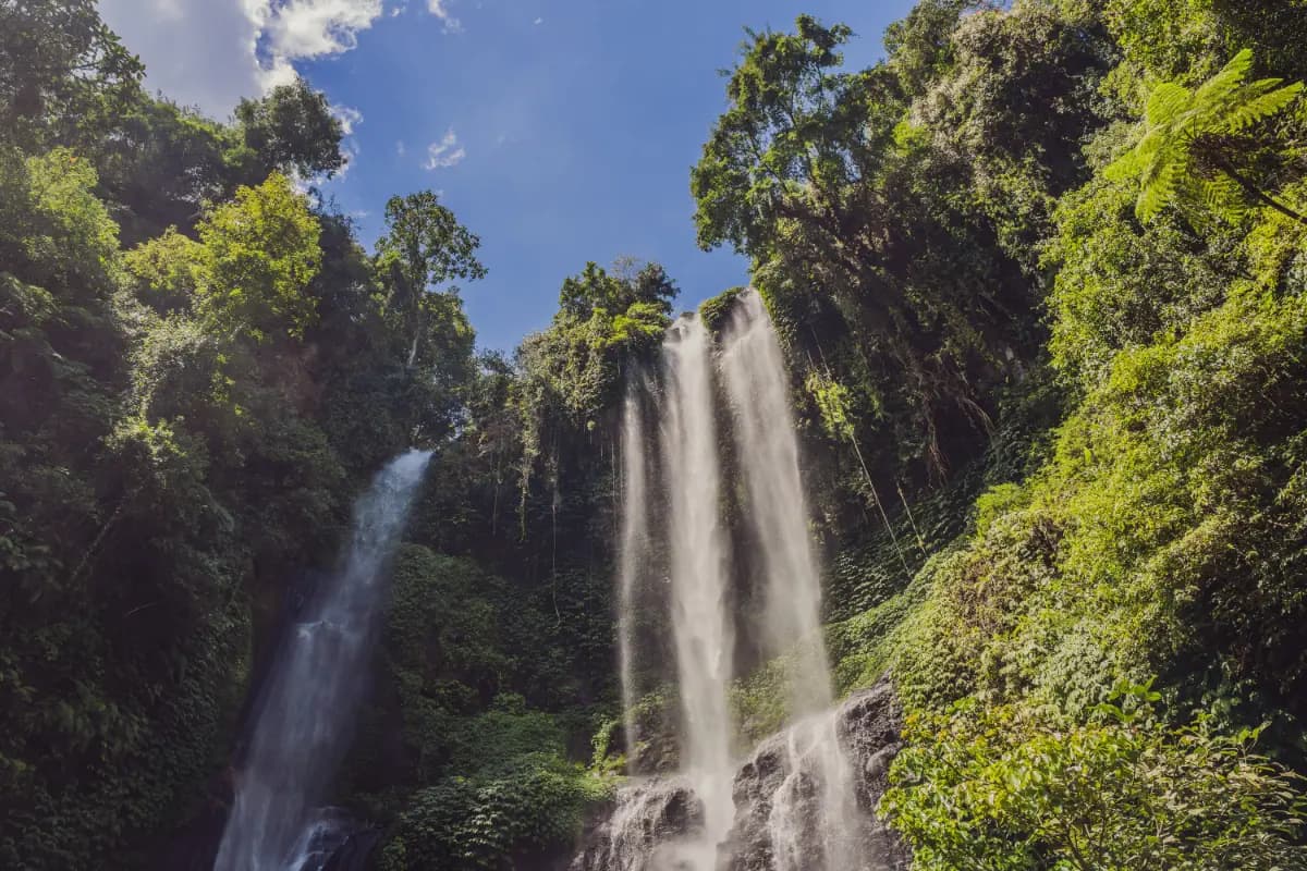 Sekumpul Waterfall