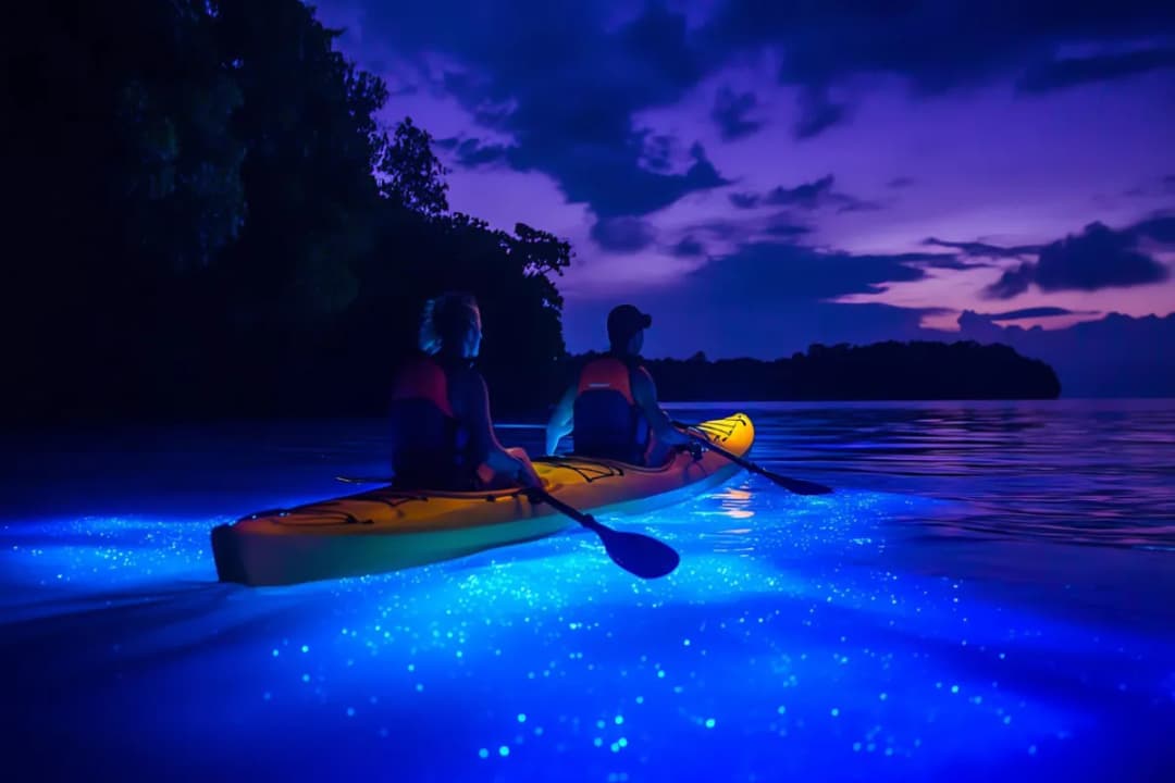 Night Kayaking