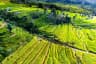 Top Jatiluwih Rice Terraces View