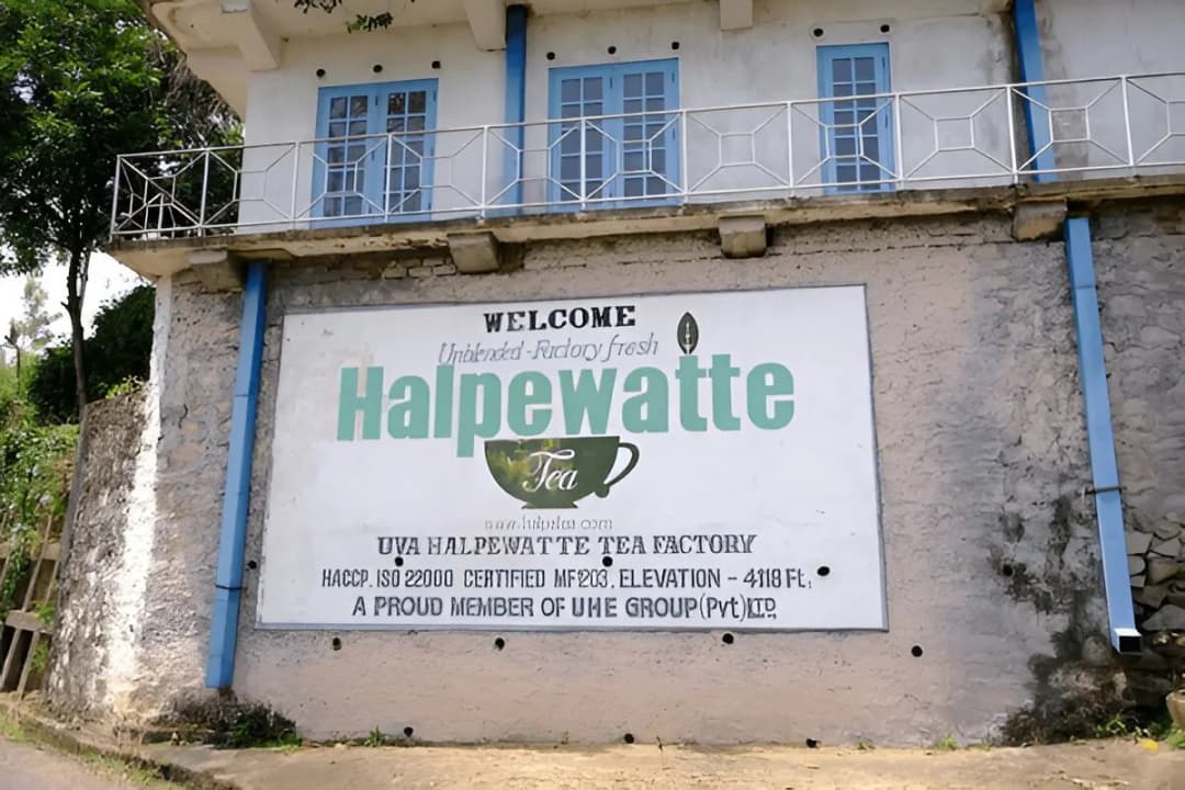 Uva Halpewatte Tea Factory (Ella)