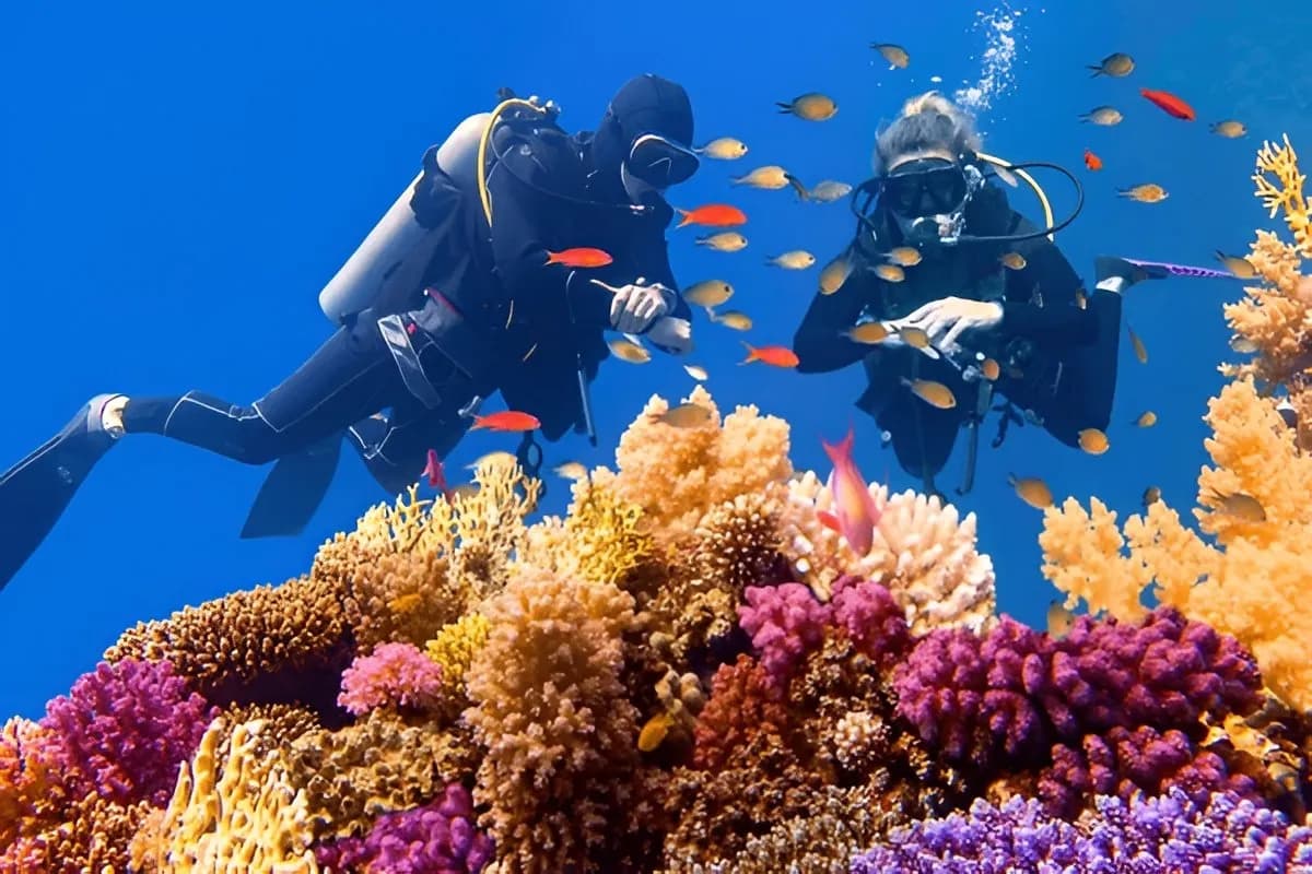 Scuba Diving