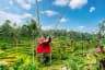 Happy young female tourist in red dress enjoying the Bali swing at tegalalang rice terrace in Bali