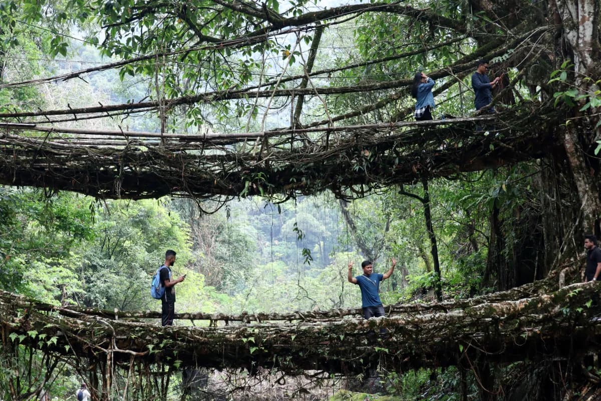 People Trekking in Double Decker Living Root Bridge